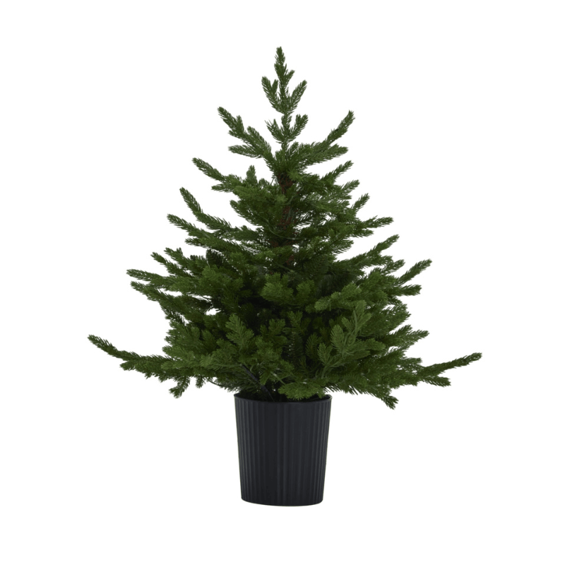 Green Forest Fir Pre-Lit LED 300L Christmas Tree In Pot