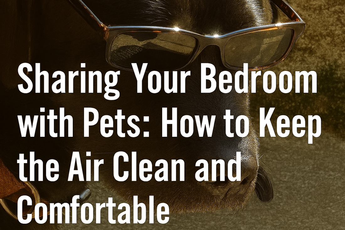 Sharing Your Bedroom with Pets: How to Keep the Air Clean and Comfortable