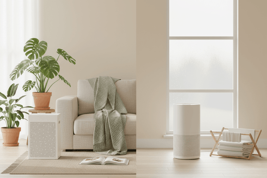 Air Purifier vs Dehumidifier: Which One Does Your Home Actually Need?