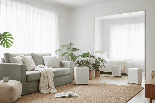 Best Air Purifiers for Allergy Sufferers in the UK: Breathe Easier at Home