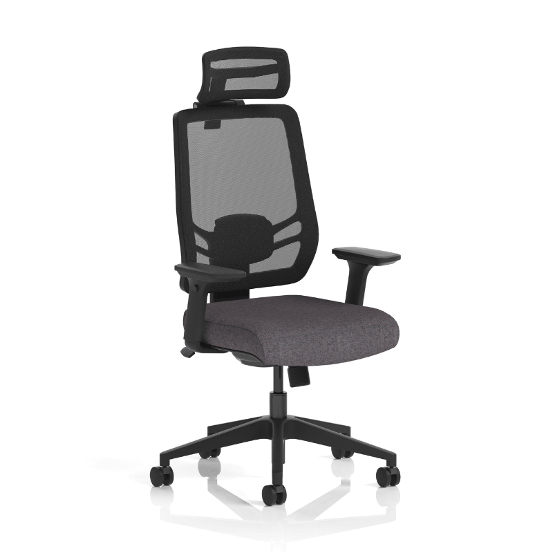 Dynamic Ergo Twist Chair | Adaptive Backrest Pivot System Adjustable Lumbar Support Seat Slide