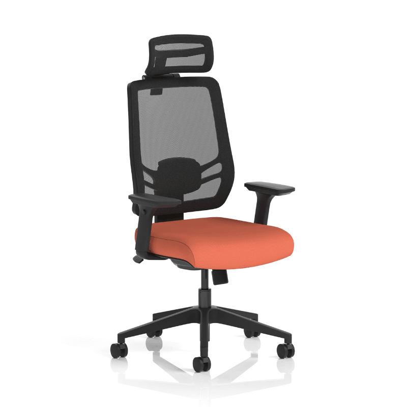 Dynamic Ergo Twist Chair | Adaptive Backrest Pivot System Adjustable Lumbar Support Seat Slide