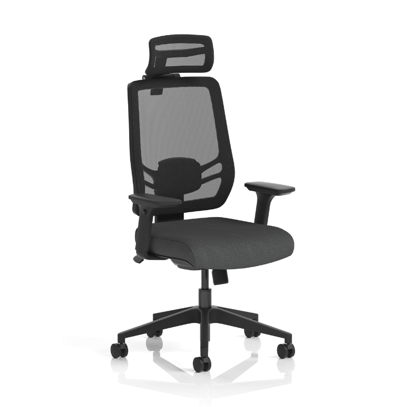Dynamic Ergo Twist Chair | Adaptive Backrest Pivot System Adjustable Lumbar Support Seat Slide