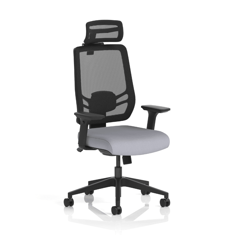 Dynamic Ergo Twist Chair | Adaptive Backrest Pivot System Adjustable Lumbar Support Seat Slide