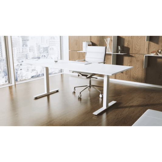 Flytta STUDIO Sit-Stand Desk | Dual Motor Height Adjustable 3-Stage Performance Workstation