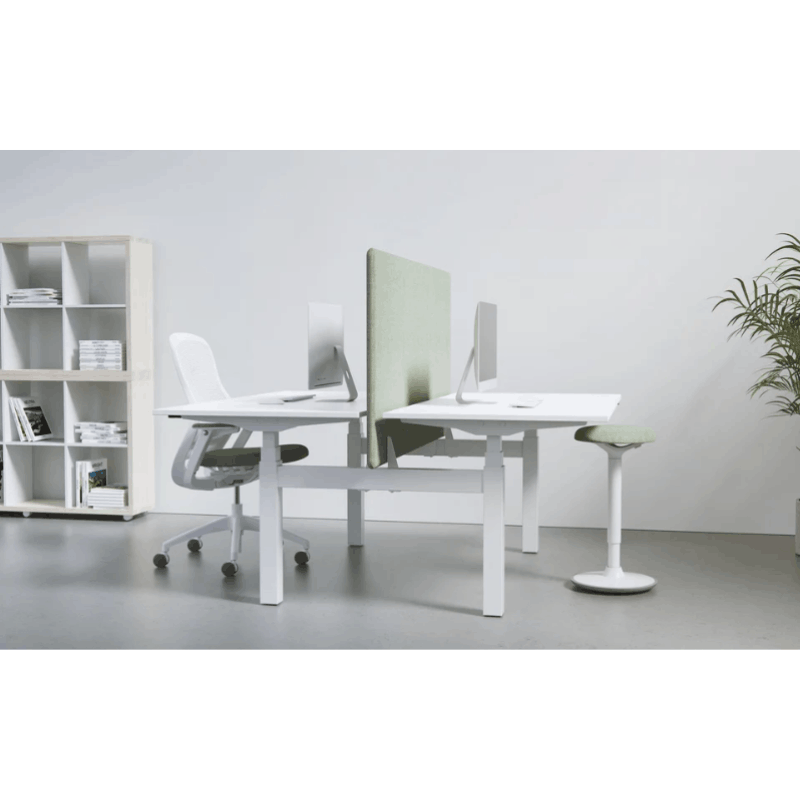 Flytta Back-to-Back Sit-Stand Desk | Dual Motor Height Adjustable Collaborative Workstation Frame