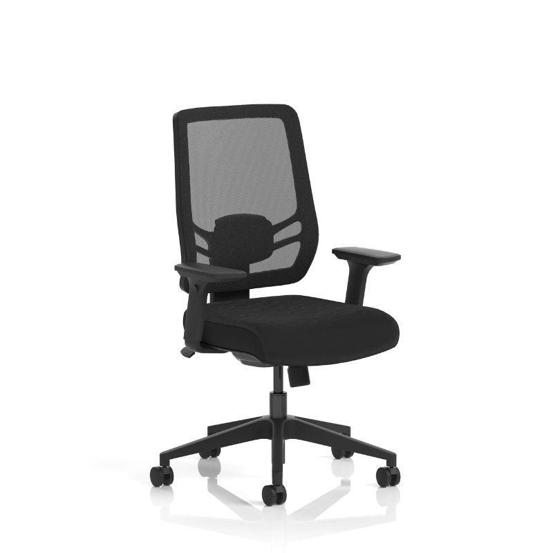 Dynamic Ergo Twist Chair | Adaptive Backrest Pivot System Adjustable Lumbar Support Seat Slide