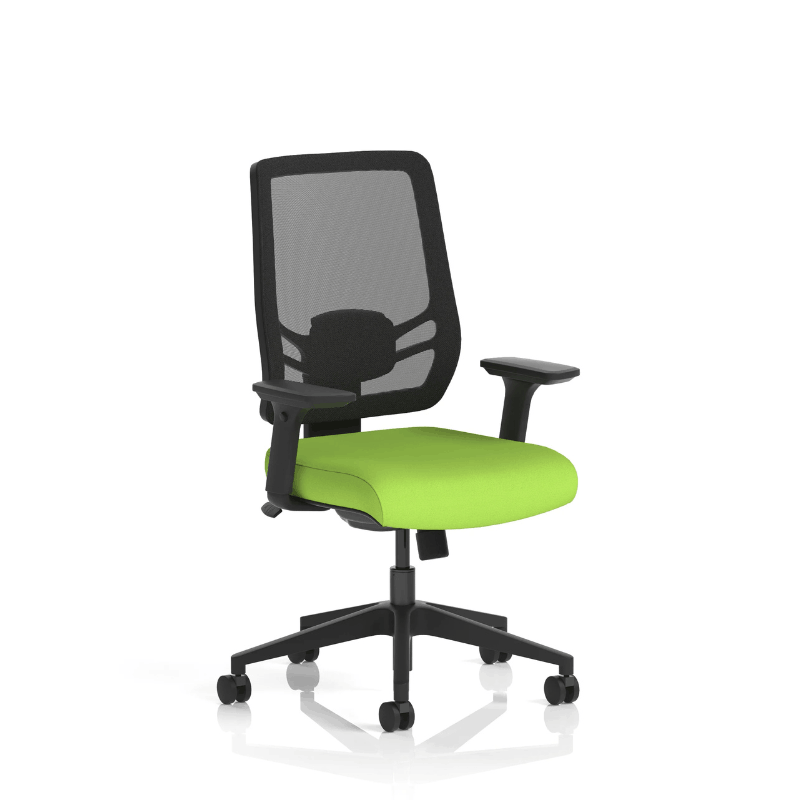 Dynamic Ergo Twist Chair | Adaptive Backrest Pivot System Adjustable Lumbar Support Seat Slide