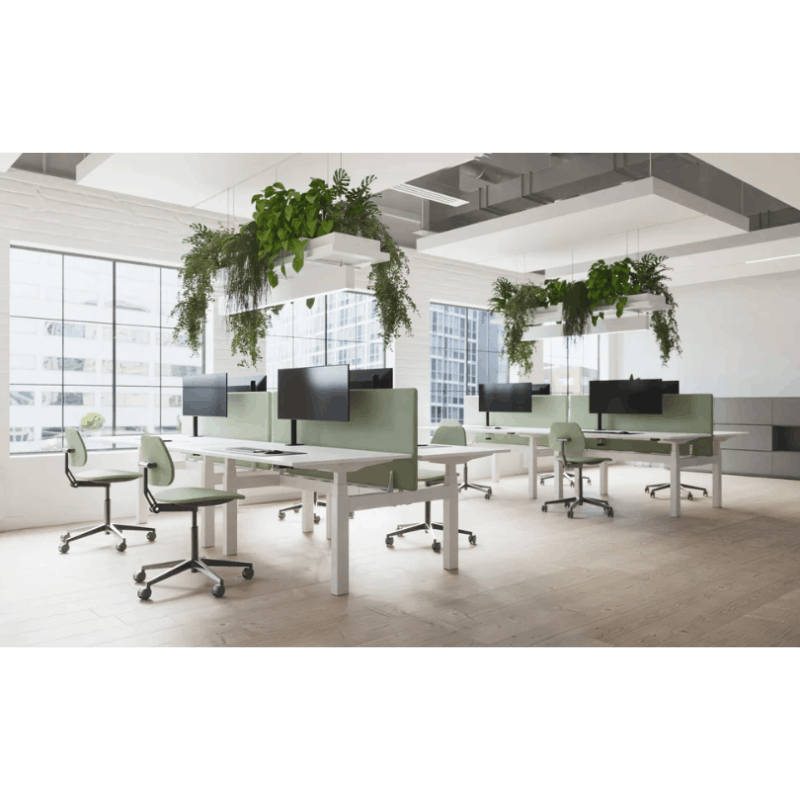 Flytta Back-to-Back Sit-Stand Desk | Dual Motor Height Adjustable Collaborative Workstation Frame