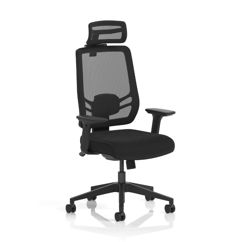 Dynamic Ergo Twist Chair | Adaptive Backrest Pivot System Adjustable Lumbar Support Seat Slide
