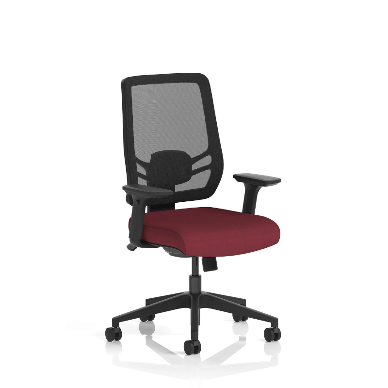 Dynamic Ergo Twist Chair | Adaptive Backrest Pivot System Adjustable Lumbar Support Seat Slide