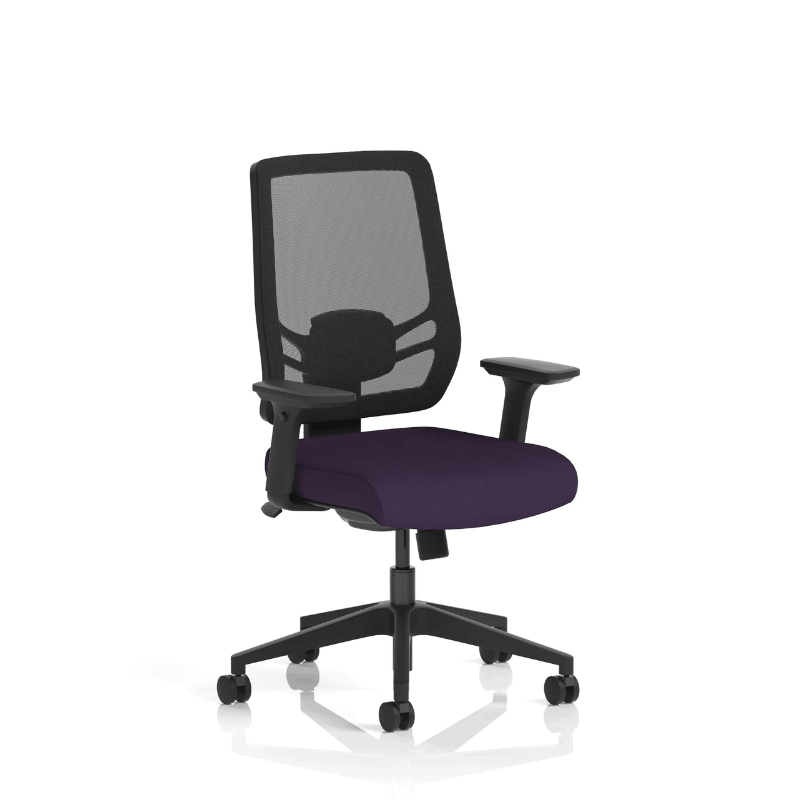 Dynamic Ergo Twist Chair | Adaptive Backrest Pivot System Adjustable Lumbar Support Seat Slide