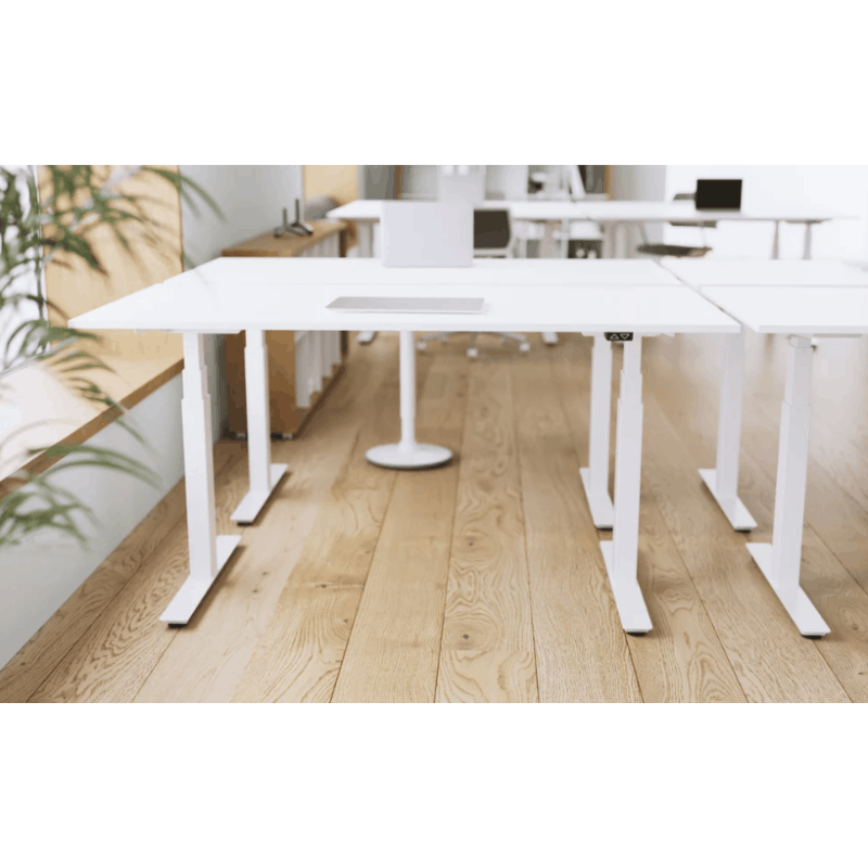 Flytta STUDIO Sit-Stand Desk | Dual Motor Height Adjustable 3-Stage Performance Workstation