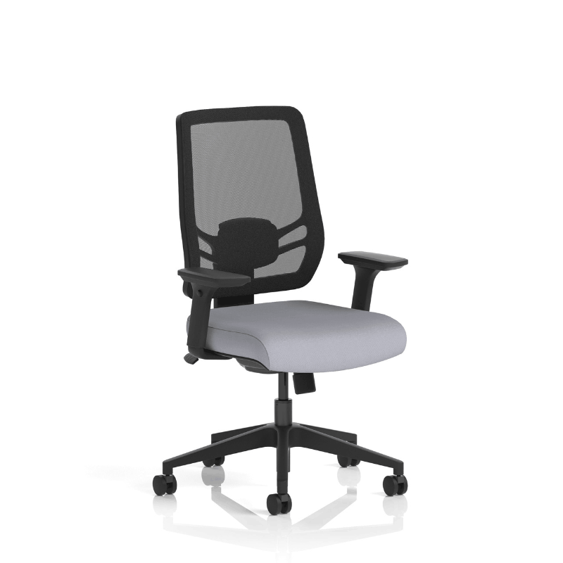 Dynamic Ergo Twist Chair | Adaptive Backrest Pivot System Adjustable Lumbar Support Seat Slide