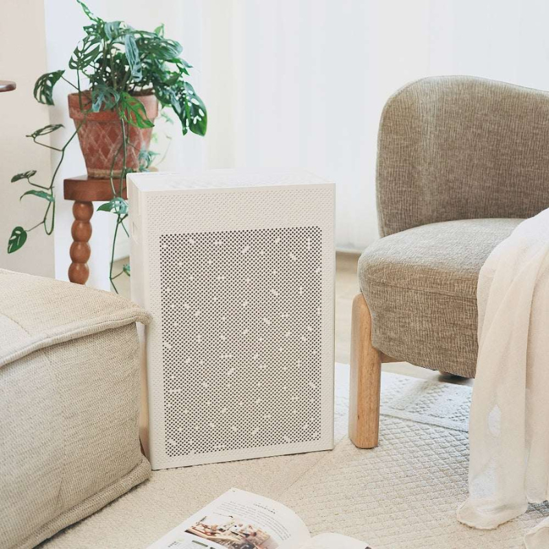 The Healthy Home Air Bundle