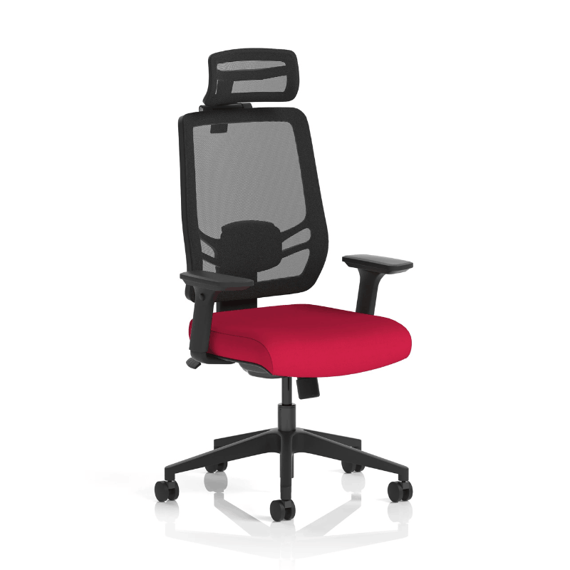 Dynamic Ergo Twist Chair | Adaptive Backrest Pivot System Adjustable Lumbar Support Seat Slide
