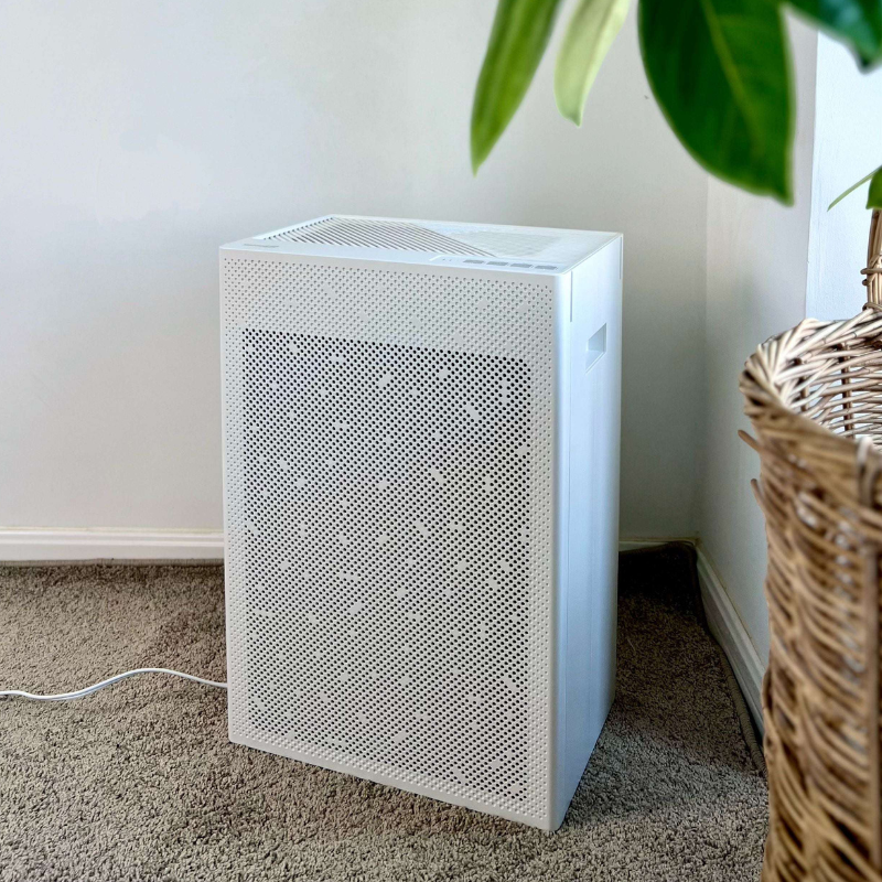 The Healthy Home Air Bundle