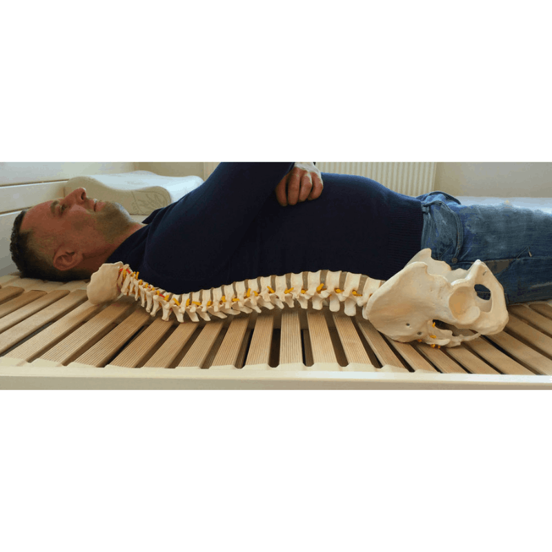 Demko Bed System