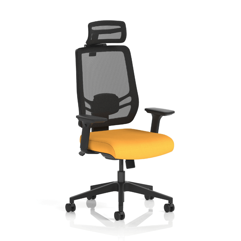 Dynamic Ergo Twist Chair | Adaptive Backrest Pivot System Adjustable Lumbar Support Seat Slide