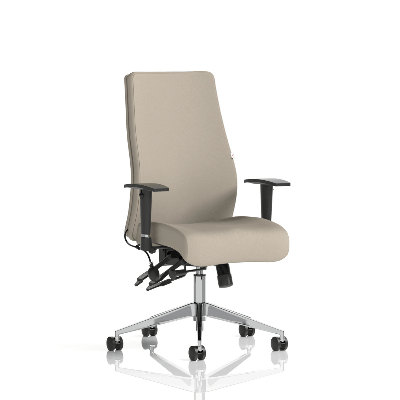 Dynamic Onyx High Back Chair | 24-Hour Intensive Use BS 5459 Certified Chrome Frame