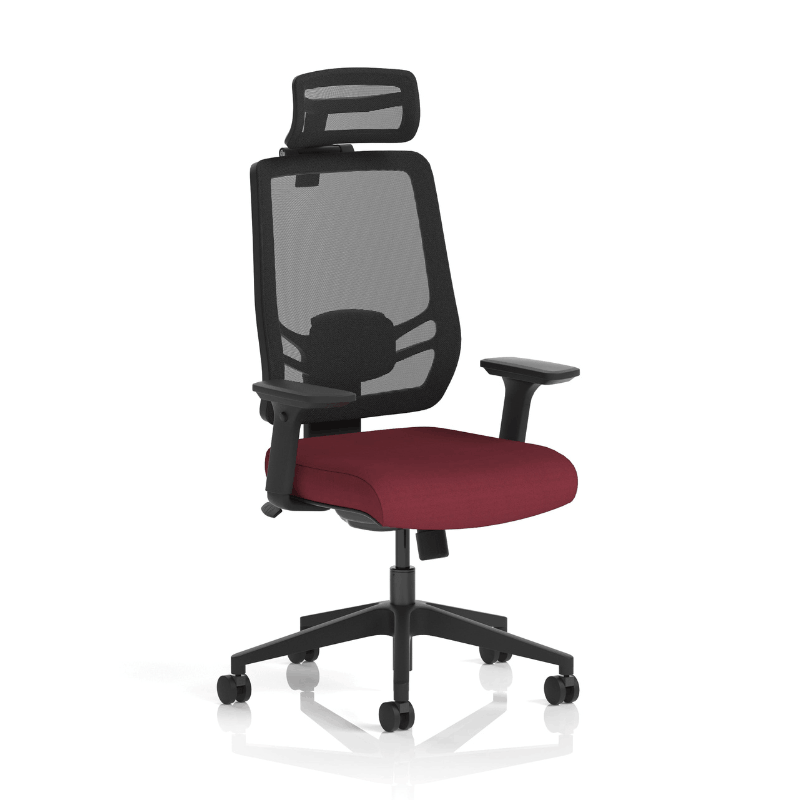 Dynamic Ergo Twist Chair | Adaptive Backrest Pivot System Adjustable Lumbar Support Seat Slide