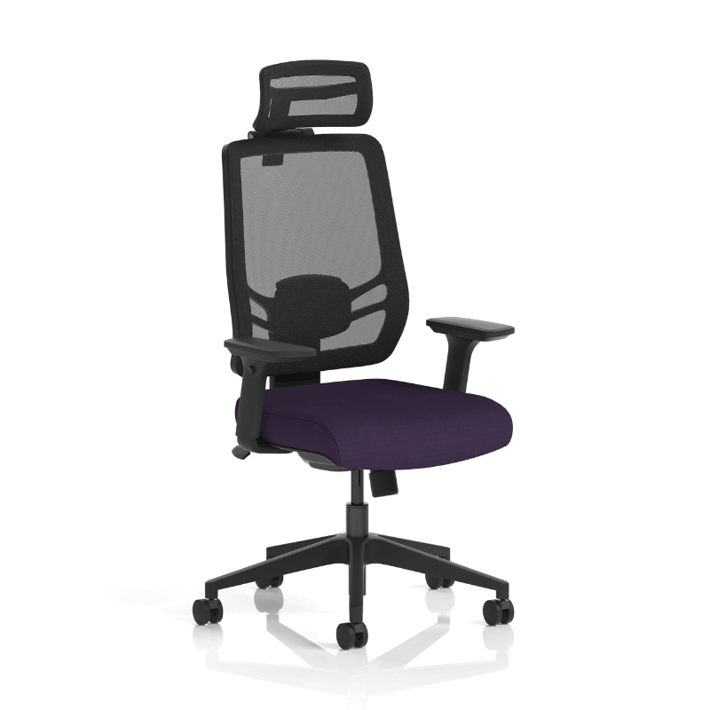 Dynamic Ergo Twist Chair | Adaptive Backrest Pivot System Adjustable Lumbar Support Seat Slide