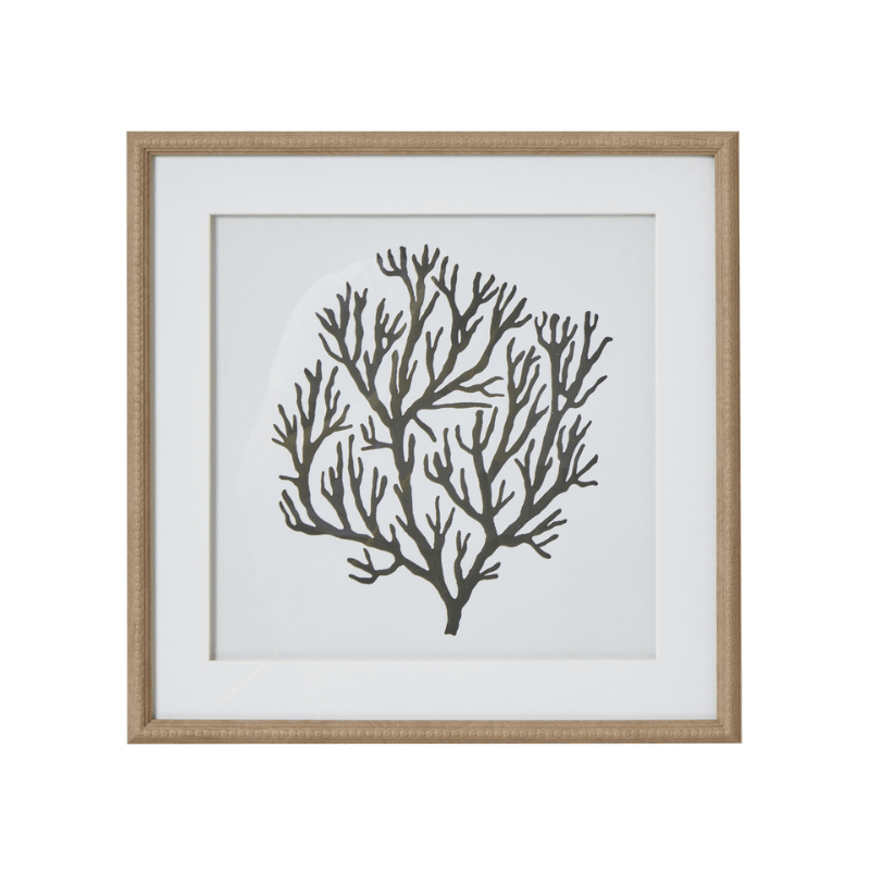 Atol Coral Art in Beaded Frame