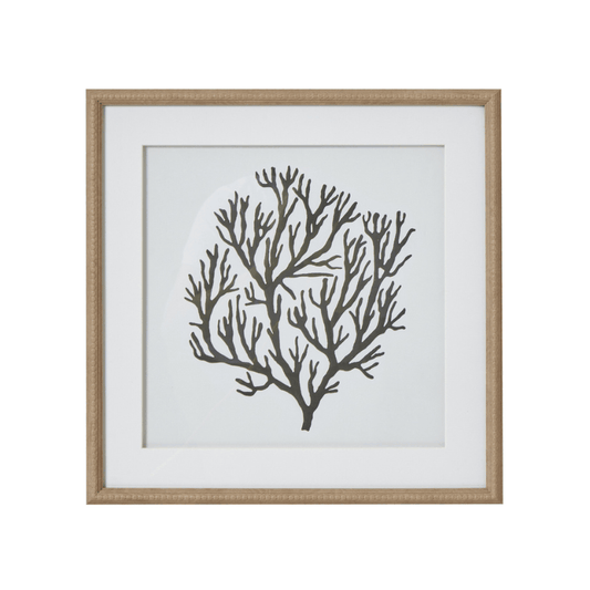 Atol Coral Art in Beaded Frame