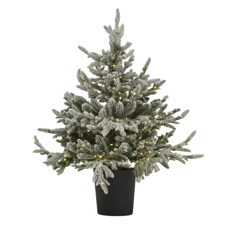 Snowy Forest Fir Pre-Lit LED 300L Christmas Tree In Pot