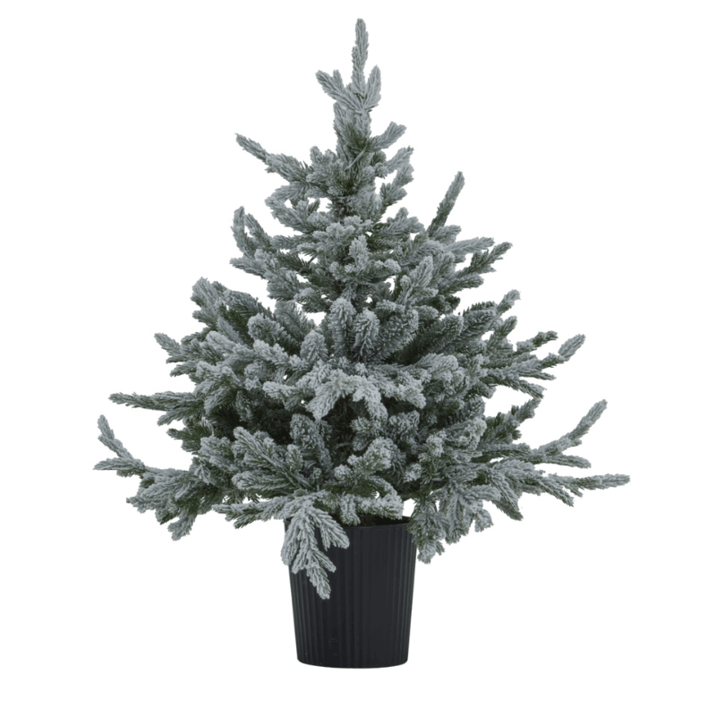 Snowy Forest Fir Pre-Lit LED 300L Christmas Tree In Pot